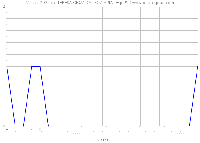 Visitas 2024 de TERESA CIGANDA TORNARIA (España) 
