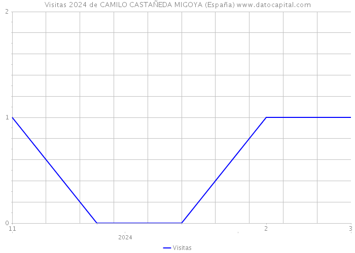 Visitas 2024 de CAMILO CASTAÑEDA MIGOYA (España) 