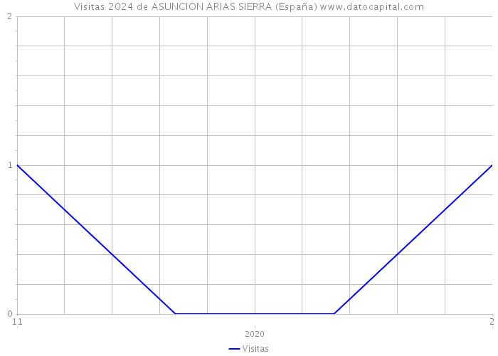 Visitas 2024 de ASUNCION ARIAS SIERRA (España) 