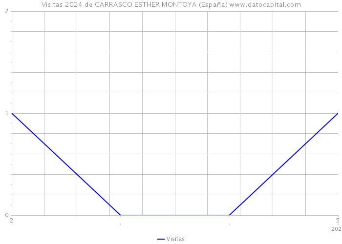 Visitas 2024 de CARRASCO ESTHER MONTOYA (España) 