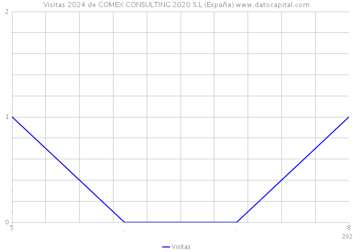 Visitas 2024 de COMEX CONSULTING 2020 S.L (España) 