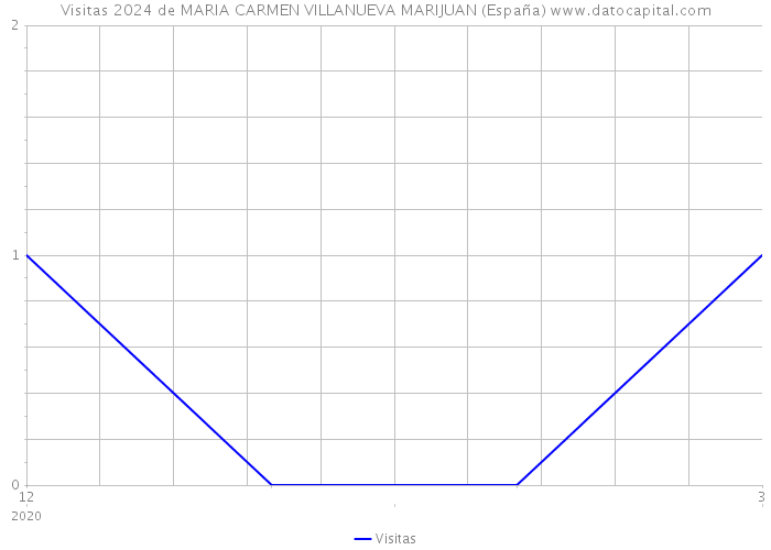 Visitas 2024 de MARIA CARMEN VILLANUEVA MARIJUAN (España) 