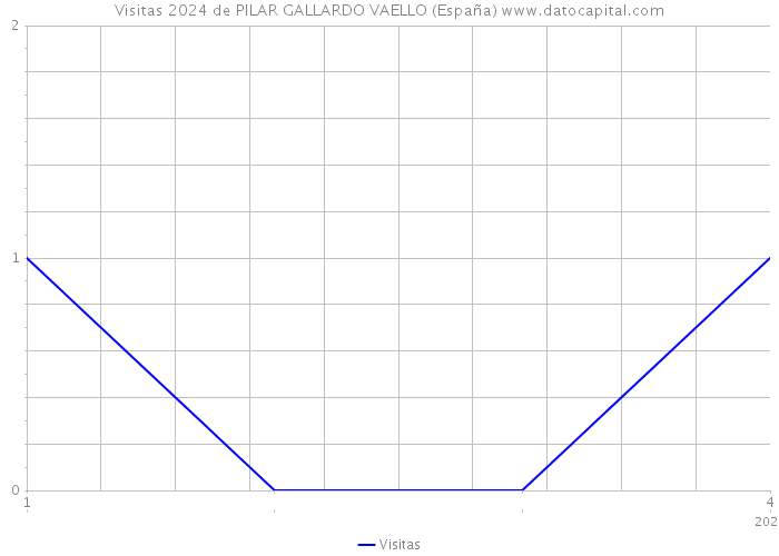 Visitas 2024 de PILAR GALLARDO VAELLO (España) 