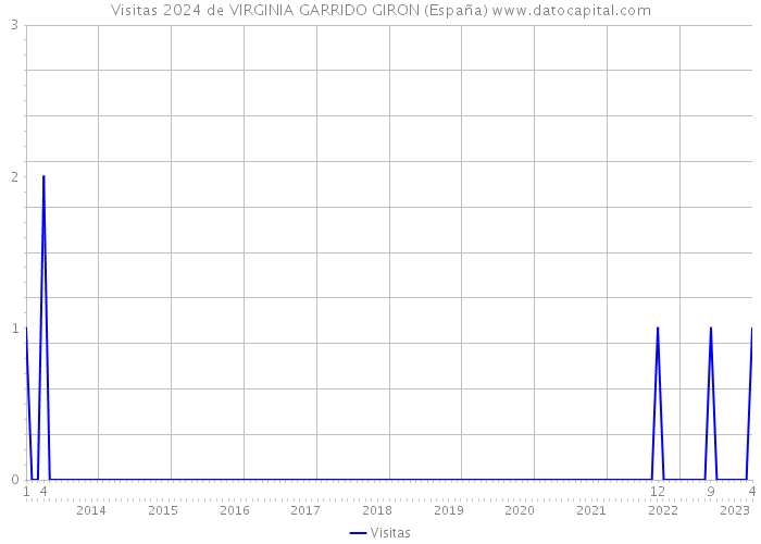 Visitas 2024 de VIRGINIA GARRIDO GIRON (España) 