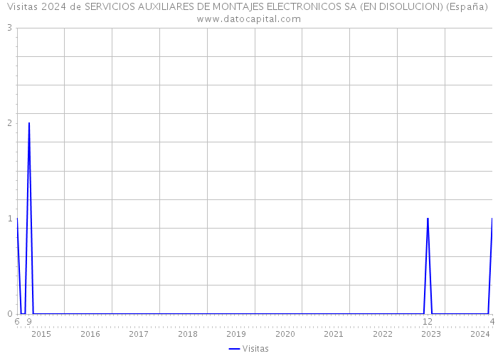 Visitas 2024 de SERVICIOS AUXILIARES DE MONTAJES ELECTRONICOS SA (EN DISOLUCION) (España) 