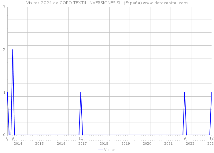 Visitas 2024 de COPO TEXTIL INVERSIONES SL. (España) 