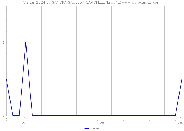 Visitas 2024 de SANDRA SAULEDA CARONELL (España) 