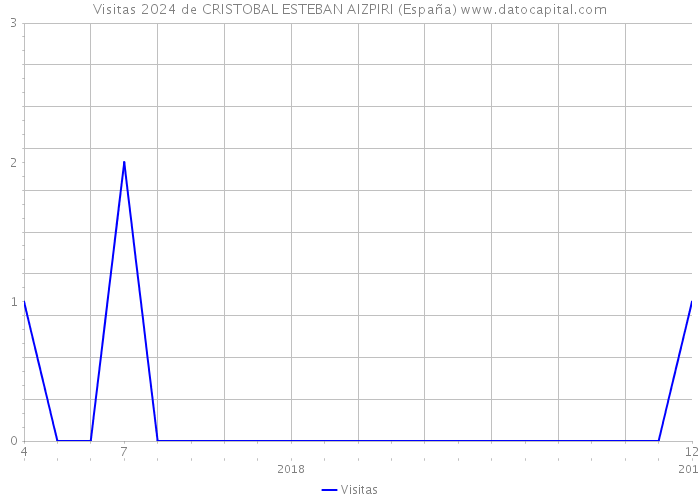 Visitas 2024 de CRISTOBAL ESTEBAN AIZPIRI (España) 