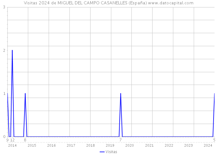 Visitas 2024 de MIGUEL DEL CAMPO CASANELLES (España) 