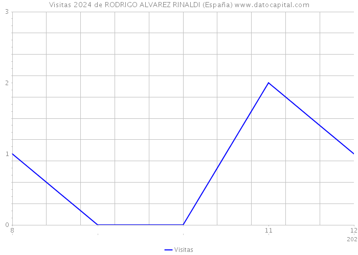 Visitas 2024 de RODRIGO ALVAREZ RINALDI (España) 