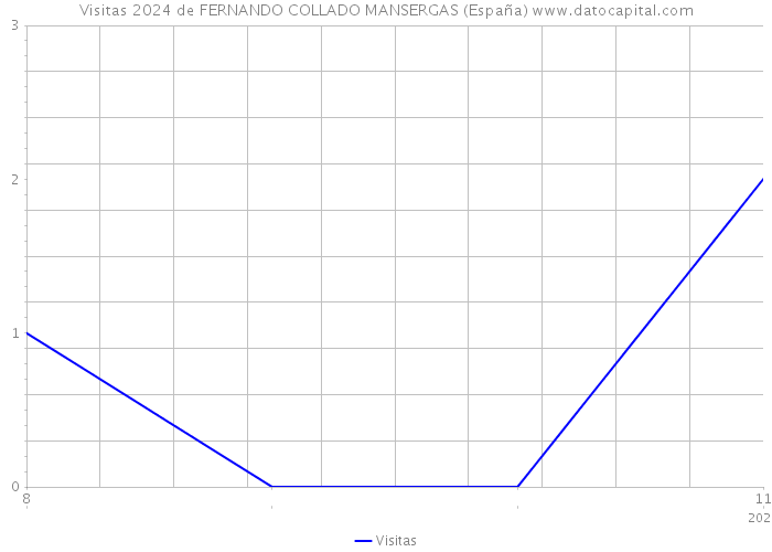 Visitas 2024 de FERNANDO COLLADO MANSERGAS (España) 