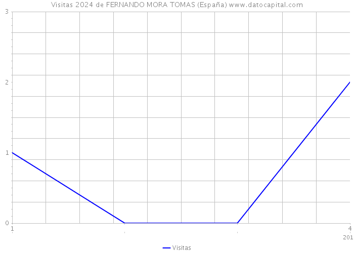 Visitas 2024 de FERNANDO MORA TOMAS (España) 