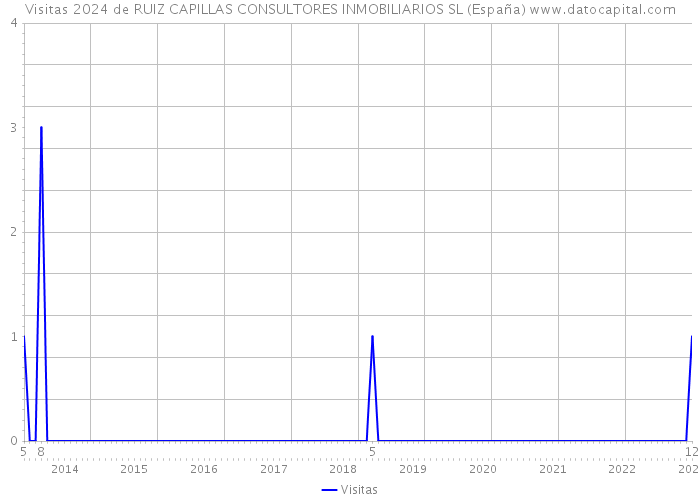 Visitas 2024 de RUIZ CAPILLAS CONSULTORES INMOBILIARIOS SL (España) 