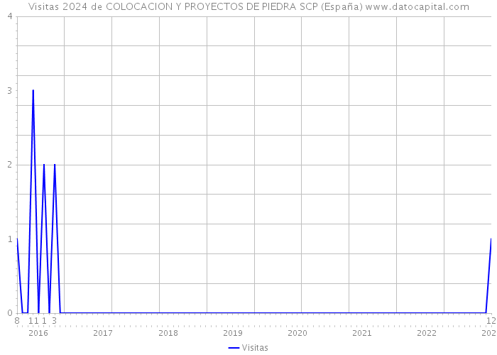 Visitas 2024 de COLOCACION Y PROYECTOS DE PIEDRA SCP (España) 