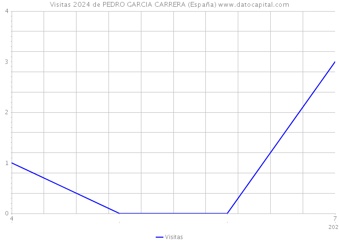 Visitas 2024 de PEDRO GARCIA CARRERA (España) 