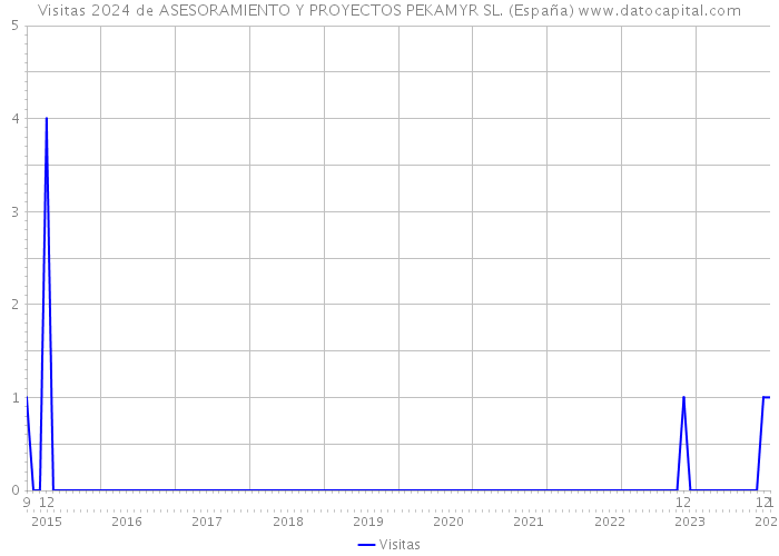 Visitas 2024 de ASESORAMIENTO Y PROYECTOS PEKAMYR SL. (España) 