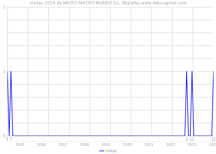Visitas 2024 de MICRO MACRO MUNDO S.L. (España) 