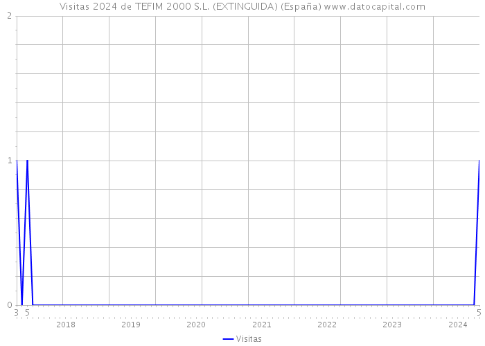 Visitas 2024 de TEFIM 2000 S.L. (EXTINGUIDA) (España) 