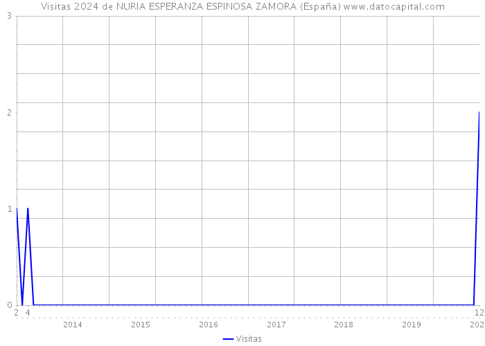 Visitas 2024 de NURIA ESPERANZA ESPINOSA ZAMORA (España) 