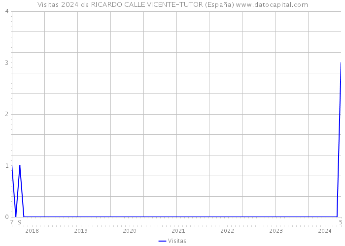 Visitas 2024 de RICARDO CALLE VICENTE-TUTOR (España) 