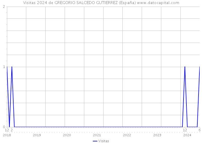 Visitas 2024 de GREGORIO SALCEDO GUTIERREZ (España) 