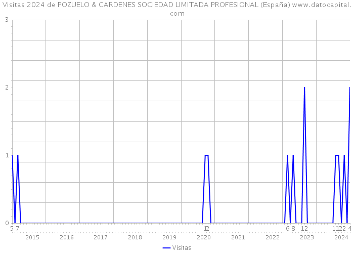 Visitas 2024 de POZUELO & CARDENES SOCIEDAD LIMITADA PROFESIONAL (España) 