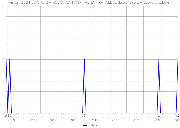 Visitas 2024 de CIRUGIA ROBOTICA HOSPITAL SAN RAFAEL SL (España) 