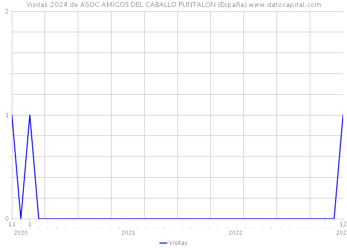 Visitas 2024 de ASOC AMIGOS DEL CABALLO PUNTALON (España) 