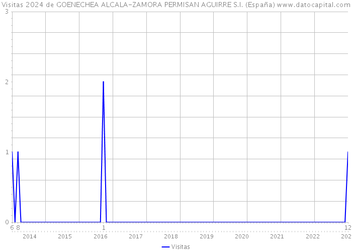 Visitas 2024 de GOENECHEA ALCALA-ZAMORA PERMISAN AGUIRRE S.I. (España) 