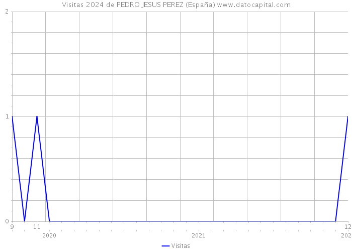 Visitas 2024 de PEDRO JESUS PEREZ (España) 