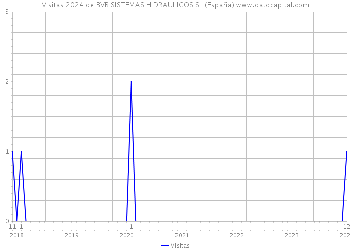 Visitas 2024 de BVB SISTEMAS HIDRAULICOS SL (España) 