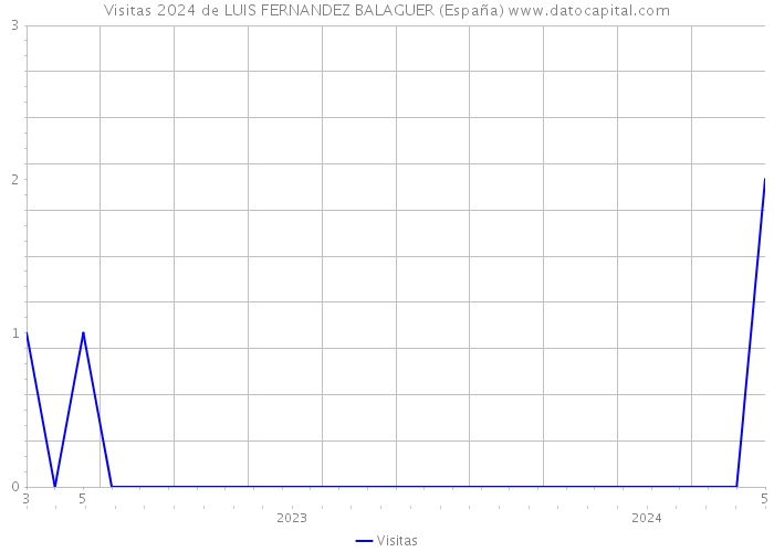 Visitas 2024 de LUIS FERNANDEZ BALAGUER (España) 