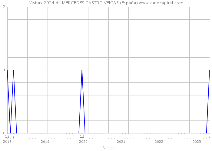 Visitas 2024 de MERCEDES CASTRO VEIGAS (España) 