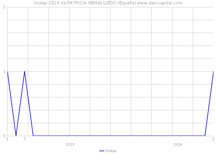 Visitas 2024 de PATRICIA SERNA LLEDO (España) 