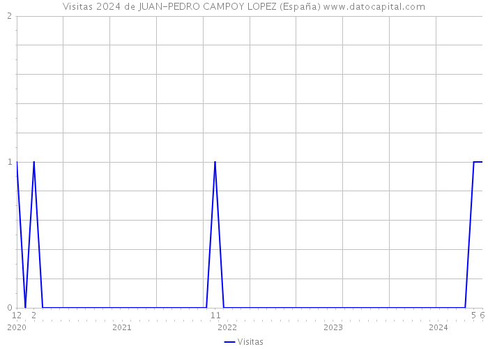 Visitas 2024 de JUAN-PEDRO CAMPOY LOPEZ (España) 