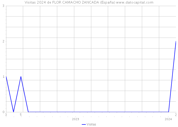 Visitas 2024 de FLOR CAMACHO ZANCADA (España) 