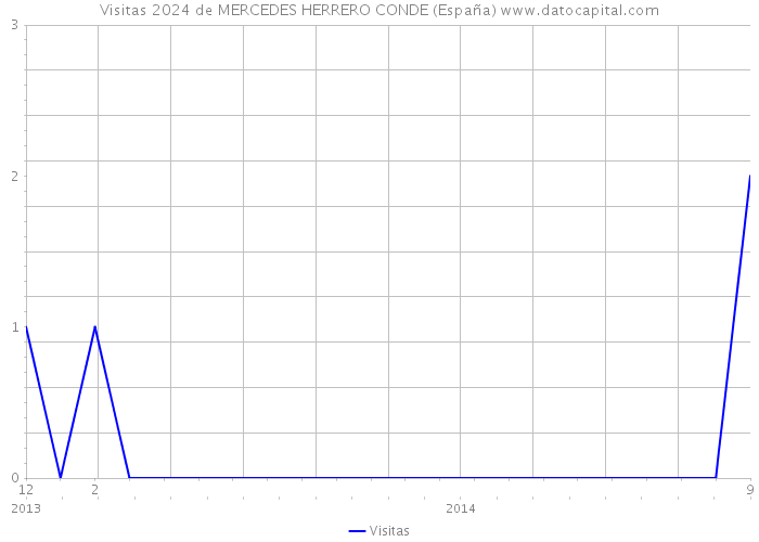 Visitas 2024 de MERCEDES HERRERO CONDE (España) 