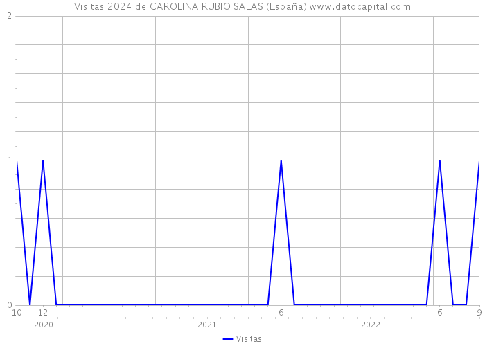 Visitas 2024 de CAROLINA RUBIO SALAS (España) 