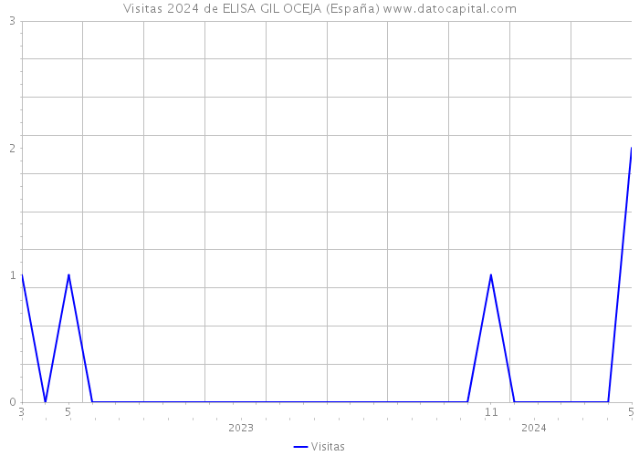 Visitas 2024 de ELISA GIL OCEJA (España) 