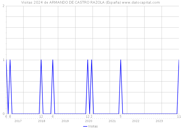 Visitas 2024 de ARMANDO DE CASTRO RAZOLA (España) 