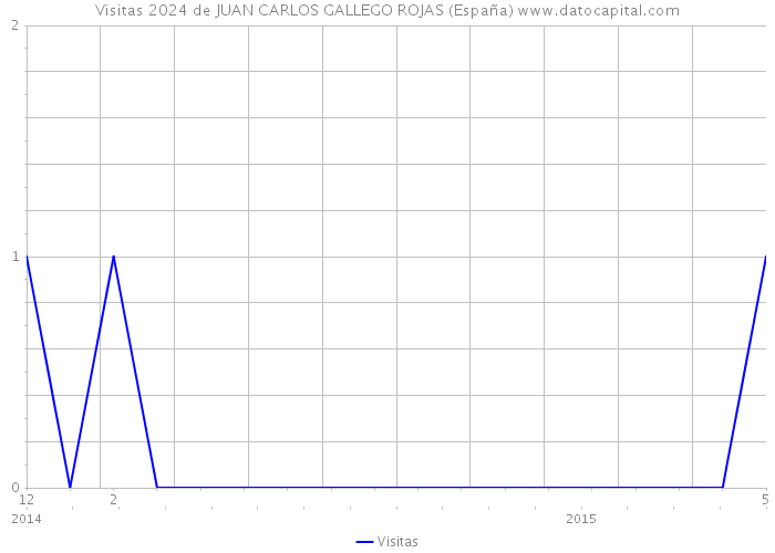 Visitas 2024 de JUAN CARLOS GALLEGO ROJAS (España) 
