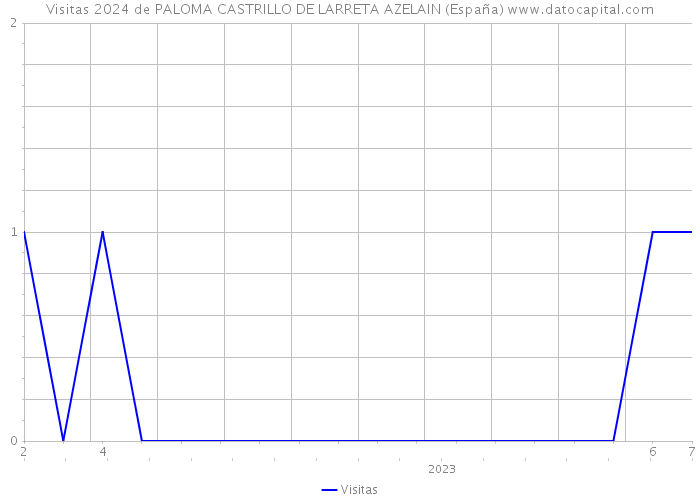 Visitas 2024 de PALOMA CASTRILLO DE LARRETA AZELAIN (España) 