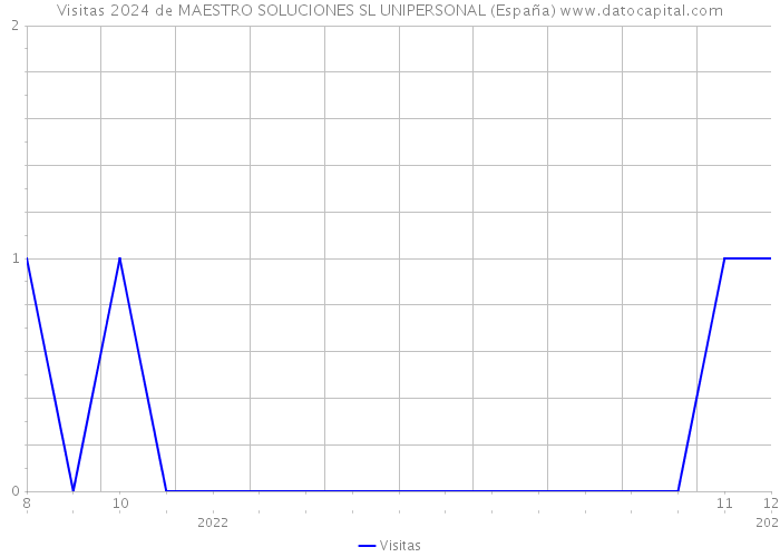 Visitas 2024 de MAESTRO SOLUCIONES SL UNIPERSONAL (España) 