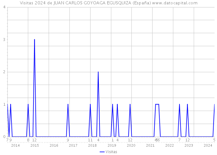 Visitas 2024 de JUAN CARLOS GOYOAGA EGUSQUIZA (España) 