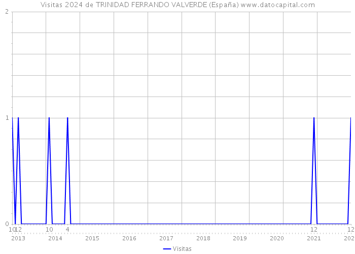 Visitas 2024 de TRINIDAD FERRANDO VALVERDE (España) 