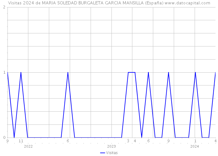Visitas 2024 de MARIA SOLEDAD BURGALETA GARCIA MANSILLA (España) 