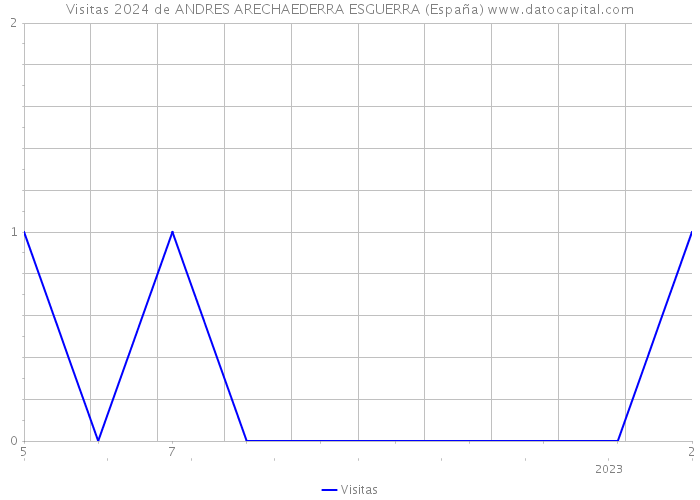 Visitas 2024 de ANDRES ARECHAEDERRA ESGUERRA (España) 