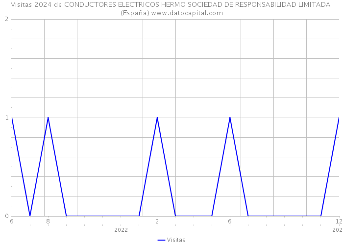 Visitas 2024 de CONDUCTORES ELECTRICOS HERMO SOCIEDAD DE RESPONSABILIDAD LIMITADA (España) 