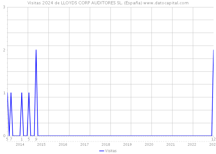 Visitas 2024 de LLOYDS CORP AUDITORES SL. (España) 
