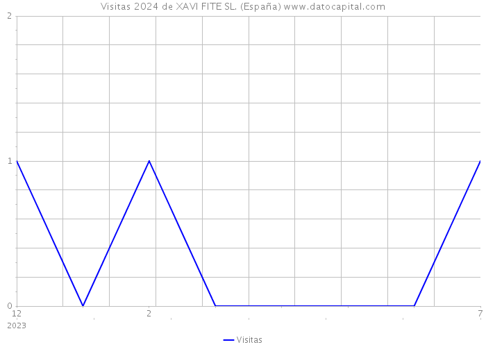 Visitas 2024 de XAVI FITE SL. (España) 